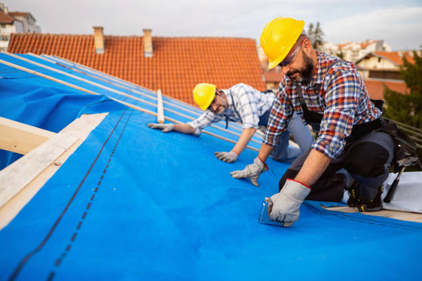 Best Roof Gutter Cleaning  in Knollwood, IL